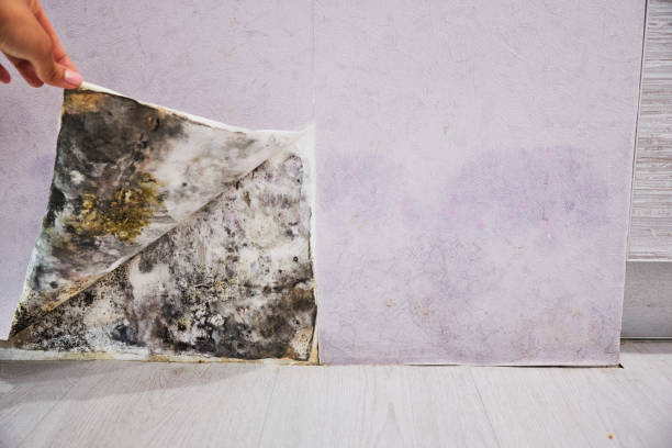 Water Damage Restoration in Corvallis, MT